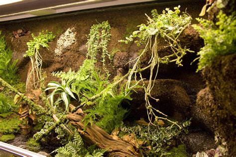 Paludarium für Salamander und Unken im Foyer des Tierparks Herborn