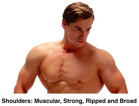Names Of Muscles In Shoulder / Free Image Gallery / I started this