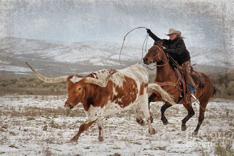 Cowgirl Roping Longhorn Photograph By Heather Swan