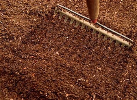 Learn The Basics Of Trench Composting Hobby Farms