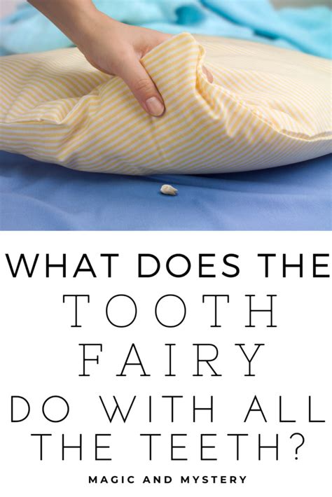 What Does The Tooth Fairy Do With The Teeth