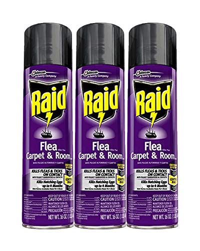 Top 10 Best Raid Flea Spray Review And Buying Guide In 2023