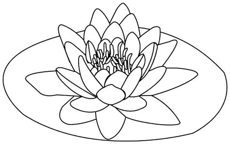 Printable Coloring Pages Lotus Flowers Coloring Home