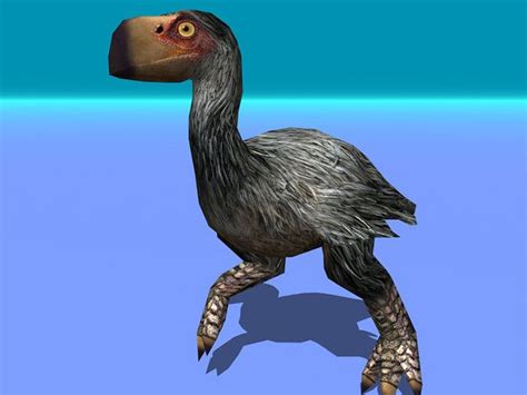 Gastornis Diatryma Prehistoric Flightless Bird Prehistoricdiatryma