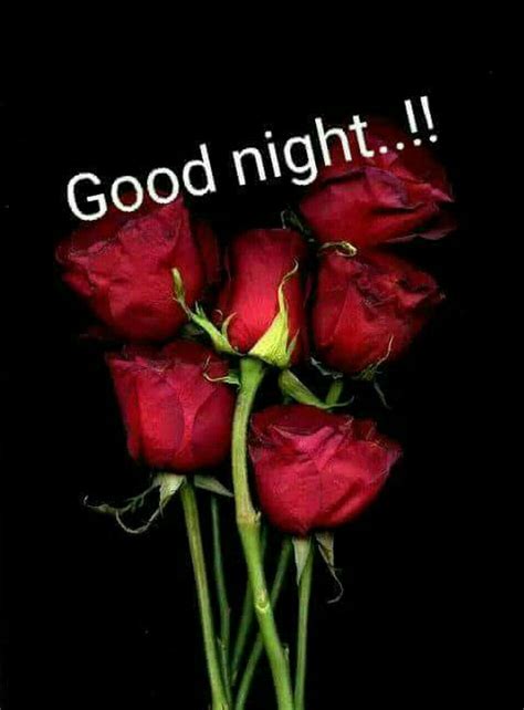 Pin By Sutapa Sengupta On Good Nighty Nite Good Night Flowers Red Roses Beautiful Flowers