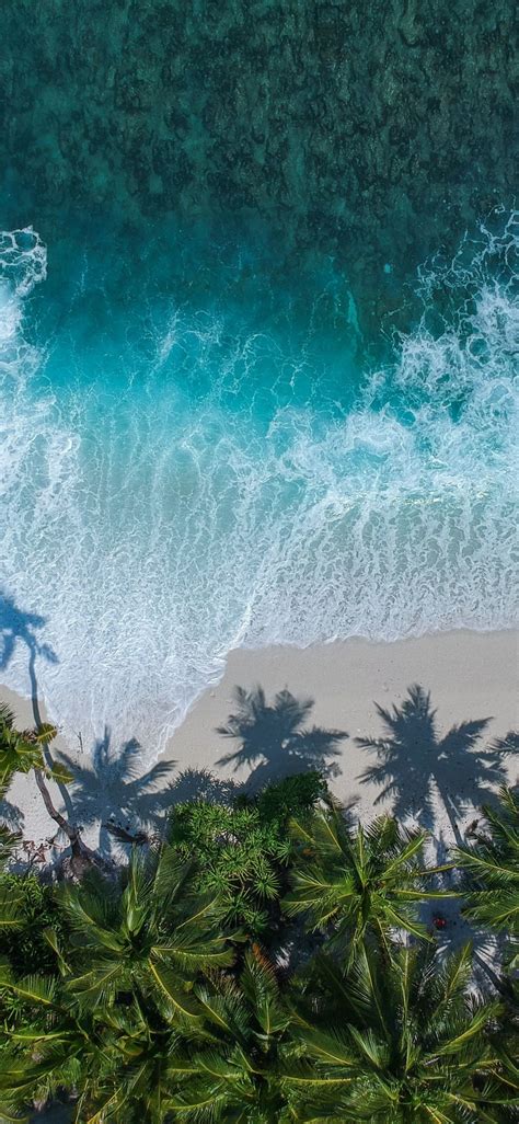 Download Wallpaper 1125x2436 Beautiful Beach Aerial View Palm Trees