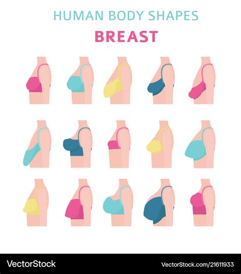 Different Breast Shapes Chart