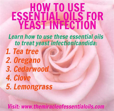 5 Powerful Essential Oils For Yeast Infection Or Candida The Miracle Of Essential Oils