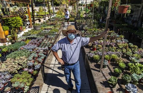 Pasadena, tx listings and reviews. Organic garden amendments: Pro recommendations - Los ...