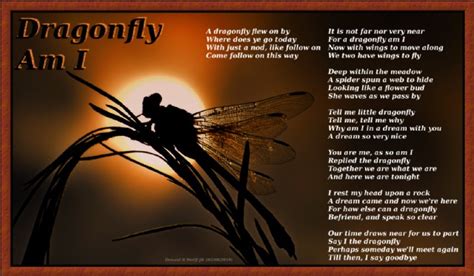 Dragonfly Am I Poem by Donald R Wolff JR - Poem Hunter