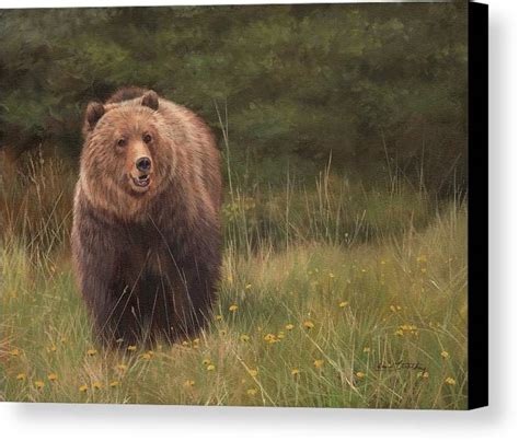 Grizzly Canvas Print Canvas Art By David Stribbling