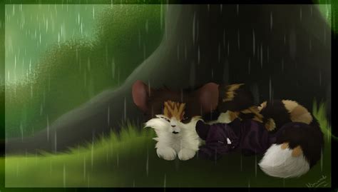 Oc Warrior Cats Just For This One Night By Msmimundo On Deviantart
