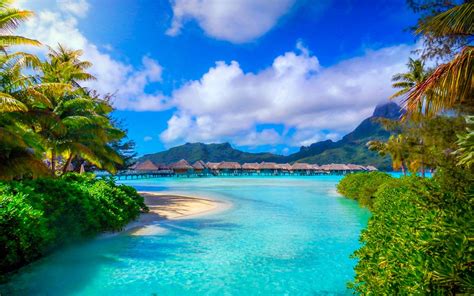 Bora Bora French Polynesia Nature Landscape Beach Sea Palm Trees
