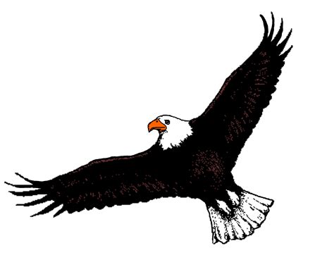 Clipart Picture Of Eagle