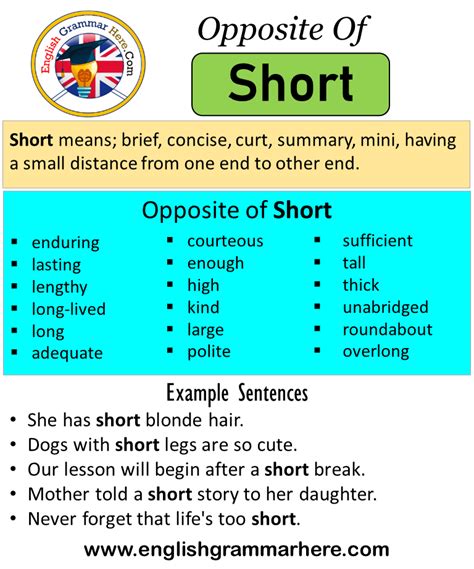 Opposite Of Short Antonyms Of Short Meaning And Example Sentences