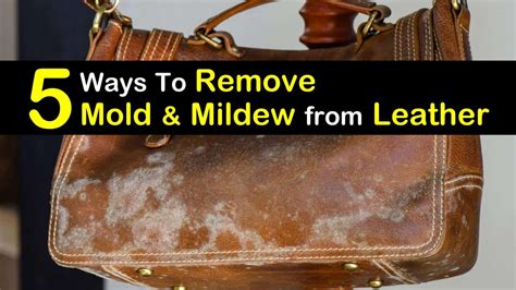 5 Ways To Remove Mold And Mildew From Leather Leather Cleaner Diy Leather Diy Leather Care