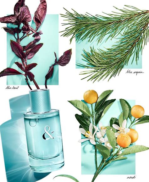 Maybe you would like to learn more about one of these? Tiffany & Co. Tiffany & Love Eau de Parfum for Her 3-Pc ...