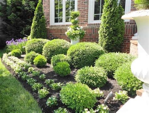 Front Yard With Evergreen Shrubs Choosing The Best Garden Shrubs
