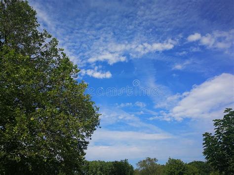 Beautiful White Clouds In Blue Sky Over Trees Stock Image Image Of