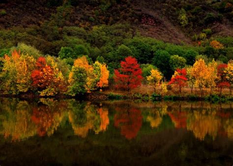 15 Most Beautiful Autumn Pictures To Inspire You This Fall Displate Blog