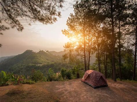 Indias Best Jungle Camping Sites That You Must Visit Once Travel
