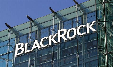 Blackrock Hires For Corporate Strategy And Products In Asia