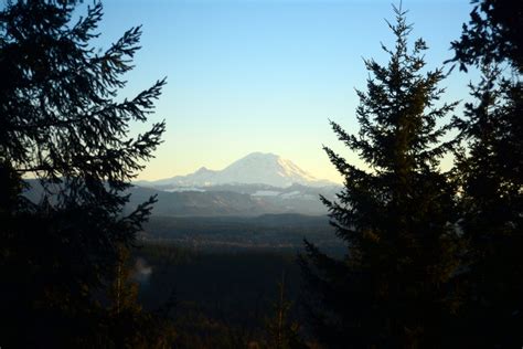 Mt Rainier As Seen From West Tiger Mountain In Issaquah Wa