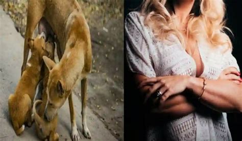 Girl Sleep Naked Cuddle New Pet Anjing Who Zhut Zhut Her Neh Ji Until Bruised Swollen