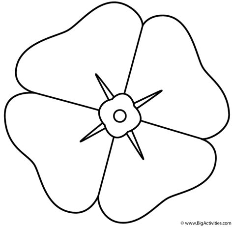 Download Poppy - Coloring Page (Anzac Day)