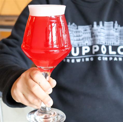 Rosé Coloured Glasses Vancouver Brewery Craft Beer Luppolo Brewing Company