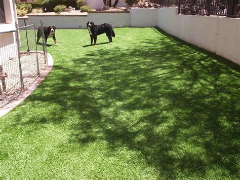 Pet Turf ☎️artificial Grass Pros San Diego