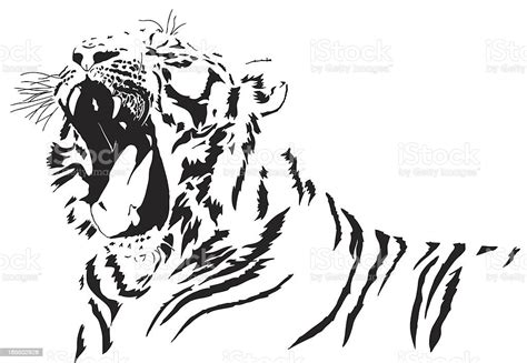 Tiger Vector Stock Illustration Download Image Now Tiger Animal