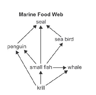All food webs are fueled by the primary producers: Ecology Quiz I | Polldaddy.com
