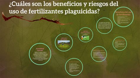 Cuáles son los beneficios y riesgos del uso de fertilizante by ilse