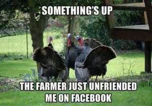 Image result for funny turkey pics