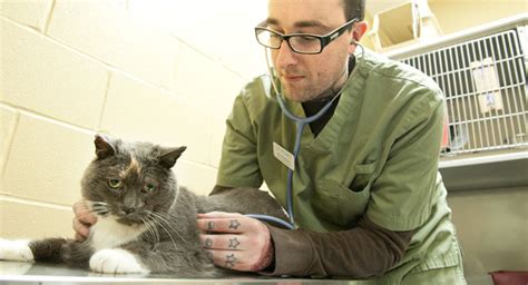 Veterinary Assistant Full Time Program Georgian College