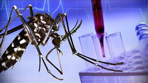 first sexually transmitted zika case confirmed in 2017