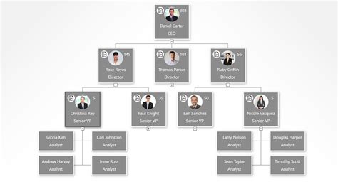 Organizational Chart Org Chart Software Orgweaver