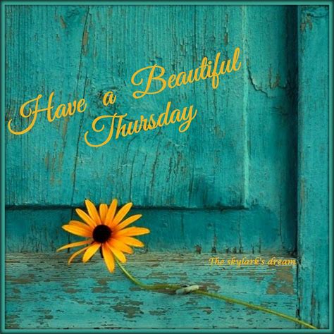 Thankful Thursday Quotes And Images Thankful Thursday Inspirational