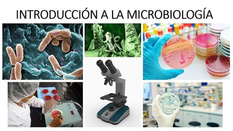 IntroducciÓn A La MicrobiologÍa ¿qué Es La Microbiología Youtube
