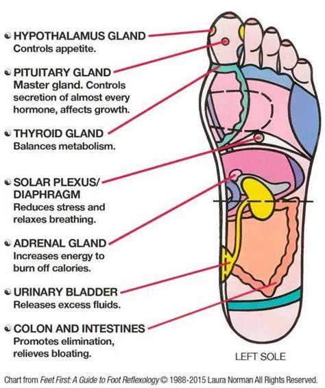 How Massaging These Six Powerful Spots On Your Feet Can Change Your Life