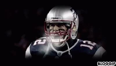 New England Patriots Gifs Search Find Make Share