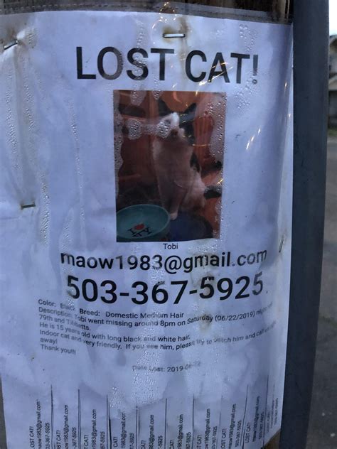 Lost Cat 79th And Tibbets Sharing This Sign From My Neighborhood In