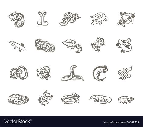 Reptiles And Amphibians Icons Set Line Design Vector Image