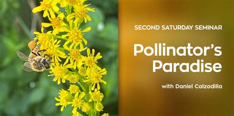 Second Saturday Seminar Pollinators Paradise Miami Beach Botanical Garden