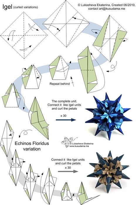 Igel Kasudama Geometric Origami Origami Diagrams Modular Origami