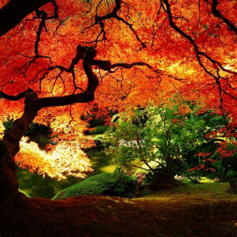 10 Top Images Of Fall Scenery Full Hd 1080p For Pc Background 2020