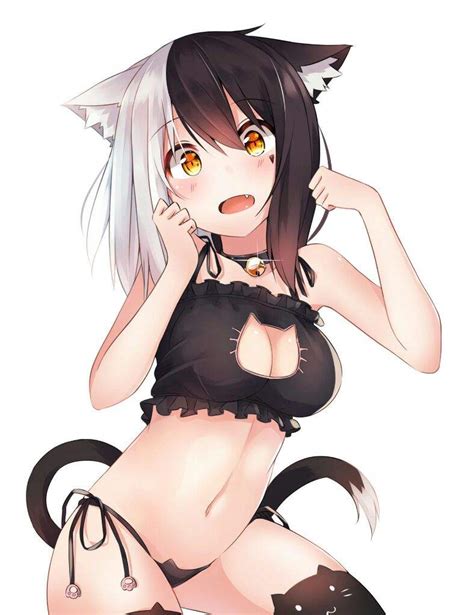 Image Cat Girl Original Characters Anime Anime