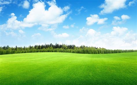 Free Photo Green Landscape Beautiful Beauty Black Free Download