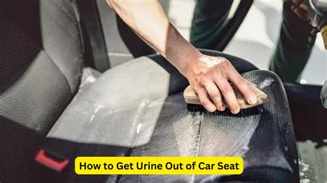 How To Get Urine Out Of Car Seat Greatest Speakers 2024